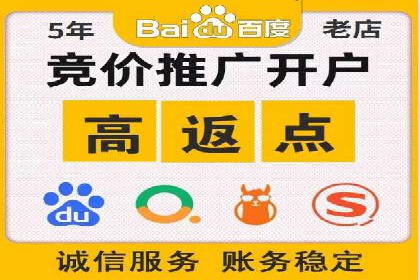 某企业通过百度SEM实现ROI最大化的案例